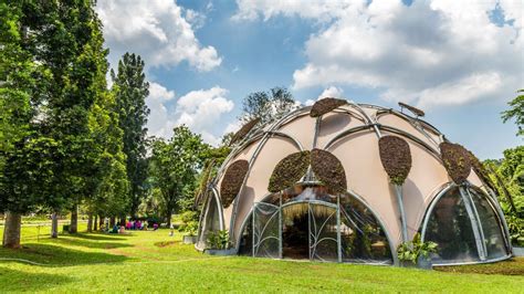 Bogor Botanical Gardens records highest visitor numbers in five years - News - The Jakarta Post