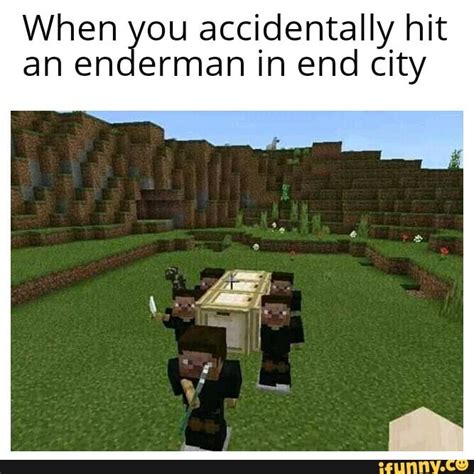 Funny minecraft memes - When you accidentally hit an enderman in end city - iFunny