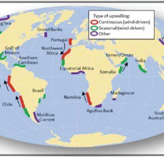 14 Locations of significant coastal upwelling regions in the world ocean | Download Scientific ...