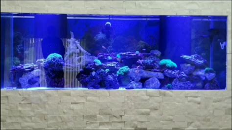 125 Gallon Aquarium (Reef Set Up) - YouTube