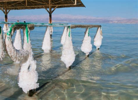 Spa Resort of the Dead Sea at Ein Gedi, Israel. Stock Photo - Image of formations, israeli: 39580892