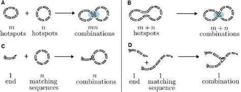 (A) Recombination of C m and C n yields the identical recom- | Download ...