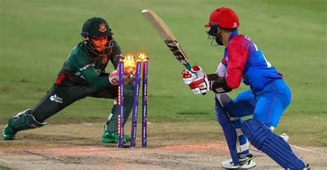 Bangladesh Wicket Keeper Batter Mushfiqur Rahim Retires From T20 Cricket in 2022 | T20 cricket ...