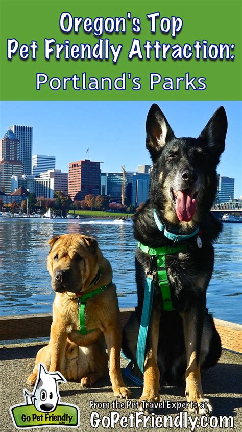 Oregon's Top Pet Friendly Attraction: Portland's Parks | Dog friends, Dog friendly hotels, Road ...