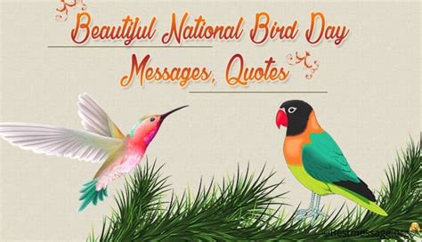 Beautiful National Bird Day Messages, Quotes & Greetings - Expose Times