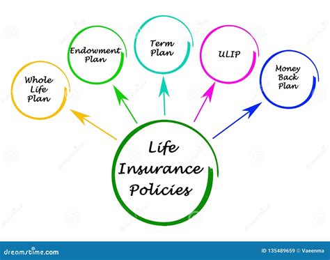 Life Insurance Features And Benefits - Photos All Recommendation