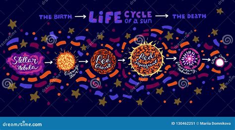Sun Life Cycle stock vector. Illustration of galaxy - 130462251