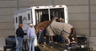 Dangerous Trailers Accidents That Just Happend: Loaded horse trailer hits rail