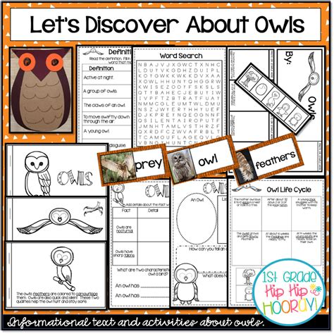 Let's Study Owls with Informational Text and Literature