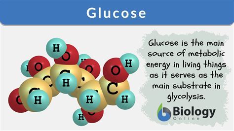 Glucose Dextrose Function at Deborah Trujillo blog