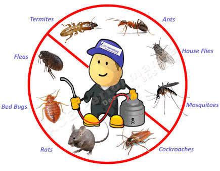 Pest Control Chemical at Best Price in Bahadurgarh, Haryana | Mr Perfect Chemicals