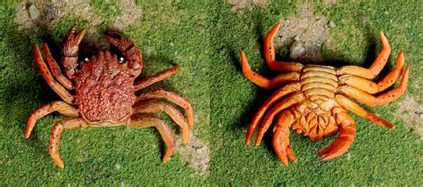 Fjodin's 15mm World: Giant Crab!