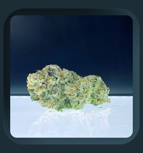 Sour Cookies Strain Review