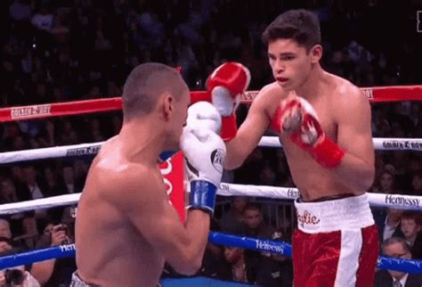 Boxing Knock Out GIF - Boxing KnockOut King - Discover & Share GIFs