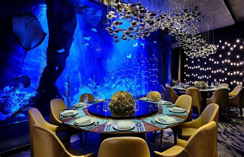 The world’s most amazing underwater hotel rooms - Travel Base Online