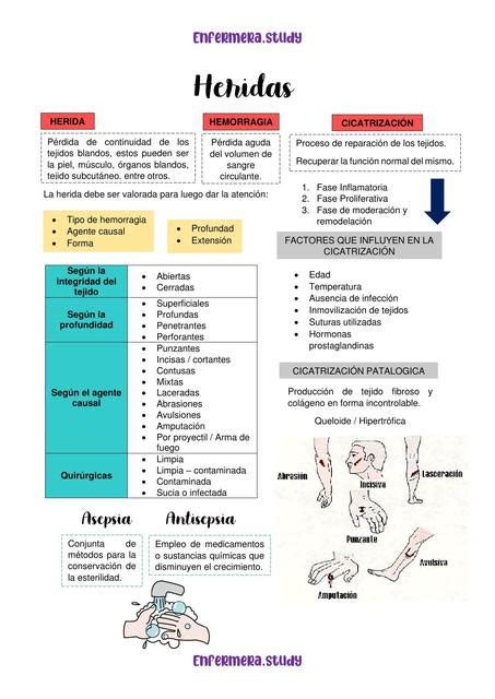 Primeros Auxilios Heridas y Hemorragias | Fiorela Reyes | uDocz