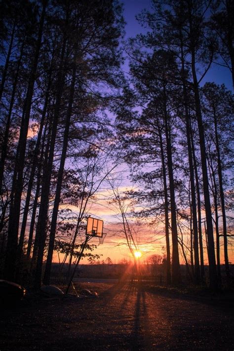 landscape photography golden hour sunrise nature trees