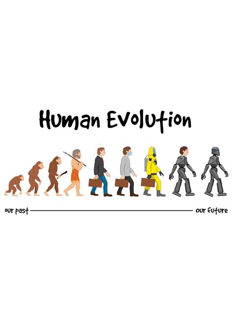 Future Human Evolution Timeline