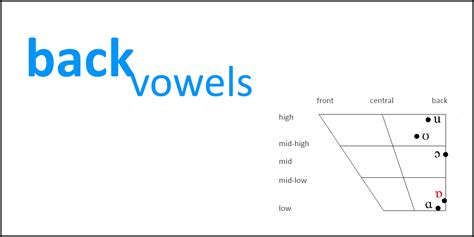 Back Vowels - SLT info