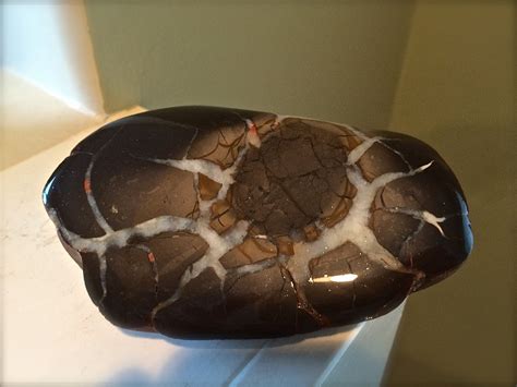 Rare Michigan Lightning Stone Septarian Concretion by Spheremaker