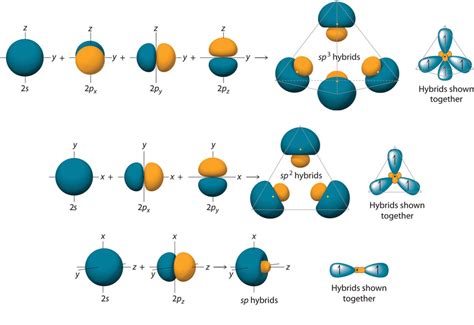 Hybridization Of Co2