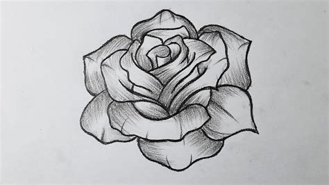 How to draw a rose easy tutorial for beginners || Rose drawing - YouTube