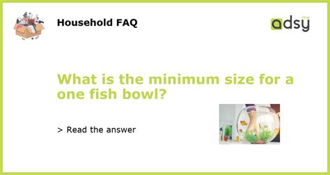 What is the minimum size for a one fish bowl?