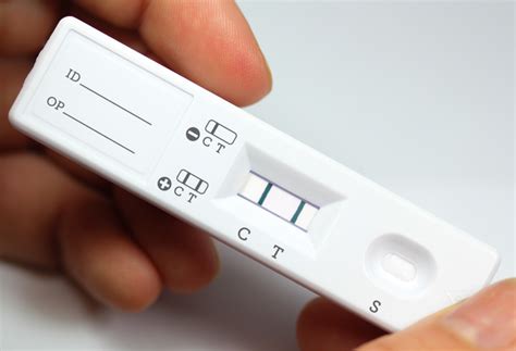 Lateral Flow Assay Products & Services - Fortis Life Sciences