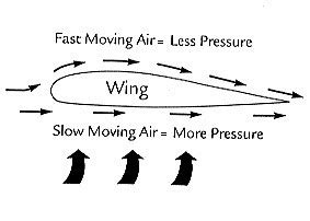 Science | Bernoulli's Principle