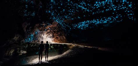 Caves, Glowworms, and Black Water Rafting in Waitomo, | ShermansTravel