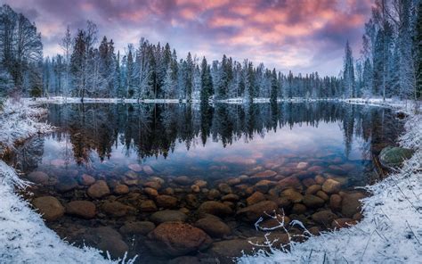 Finland Nature Landscape Winter Snow Morning Sunrise Forest Lake ...