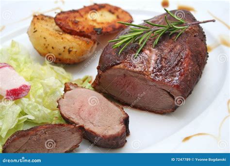 Duck meat stock image. Image of fresh, radish, potatoes - 7247789