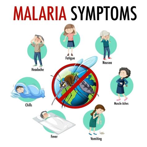 Malaria symptoms information infographic | Malaria symptoms, Malaria ...