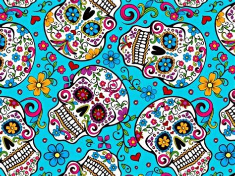 [100+] Colorful Skull Pictures | Wallpapers.com