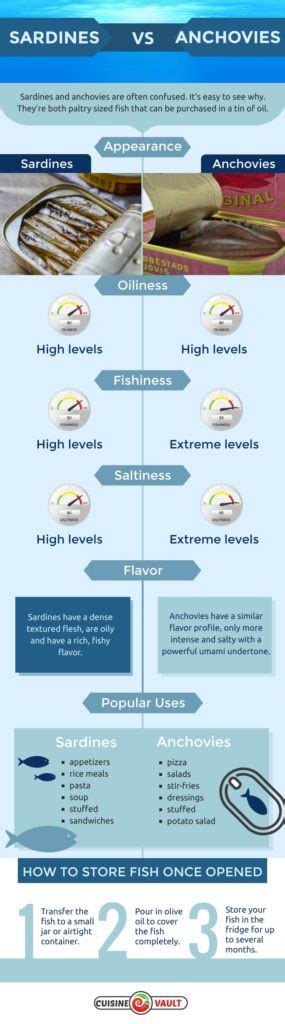 Sardines Vs Anchovies - Which Is Best?