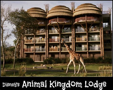 Disney's Animal Kingdom Lodge - Wishes and Wands Travel Agency