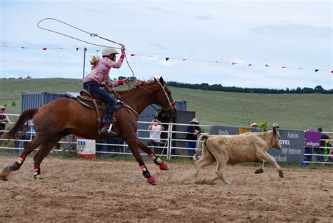 Free Images : rope, girl, woman, run, female, cattle, action, usa, lifestyle, cowgirl, skill ...
