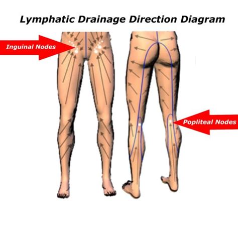 Pin on Lymphatic drainage massage