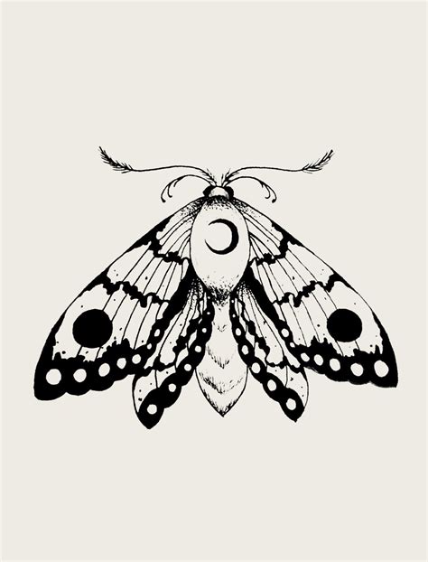 Pin by Melany on tatuajes | Moth tattoo, Art tattoo, Moth drawing