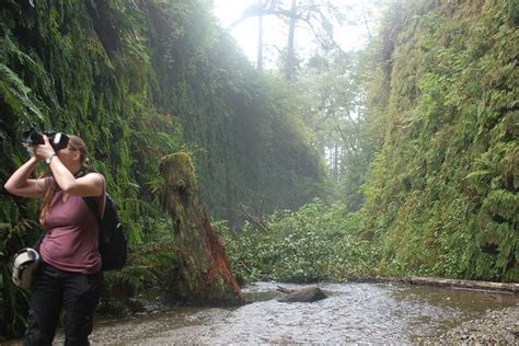 More Movie Deja Vu: Fern Canyon in Prairie Creek Redwoods State Park, CA. (Jurassic Par ...