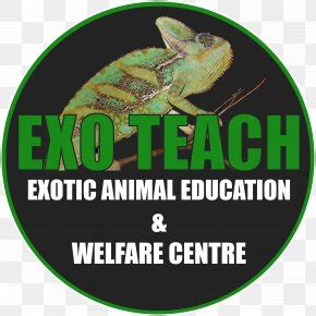 Exotic Animal Veterinarian Exotic Pet Clip Art, PNG, 4320x4320px, Watercolor, Cartoon, Flower ...