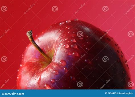 Red apple stock image. Image of delicious, nutrition, apple - 2736975