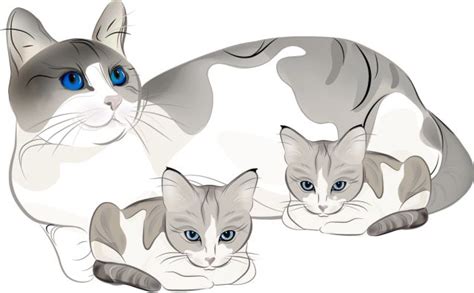 Baby cat clipart - Clipground