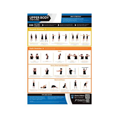 PosterFit Upper Body Stretching Chart on Sale at Gym Marine