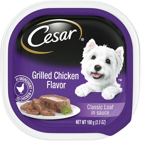 Unleash the Power of Flavor with Our Top 10 Picks for Cesar Chicken Dog ...