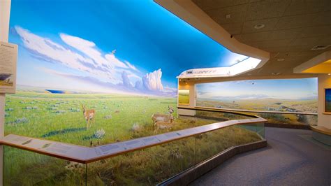 Royal Saskatchewan Museum in Regina, Saskatchewan | Expedia.ca