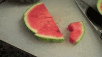 Water-Melon GIFs - Find & Share on GIPHY