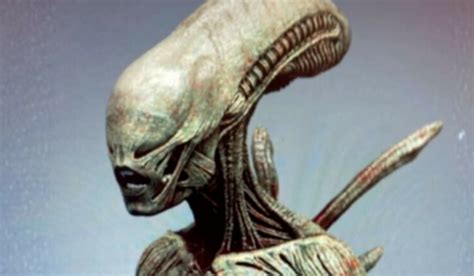 DEBUNKED: Potential Xenomorph / Human hybrid concept from Alien FX TV ...