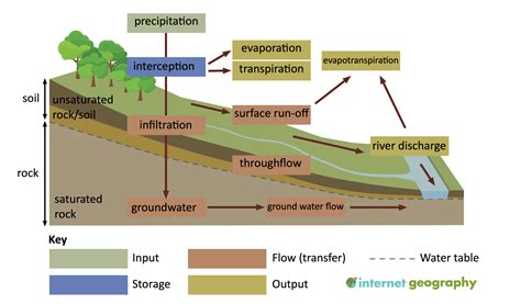 The drainage basin: a component of the water cycle - Internet Geography