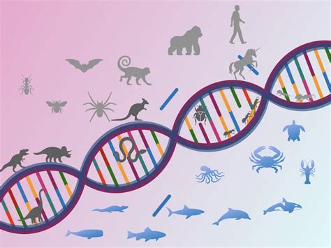 Genetics And Evolution The Human Journey - vrogue.co